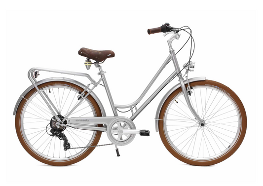 Renaissance 26'' mixte gris